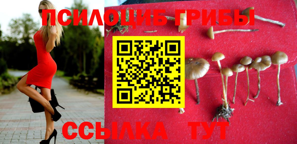Псилоцибиновые грибы мухоморы  Вход с VPN  Туапсе 
